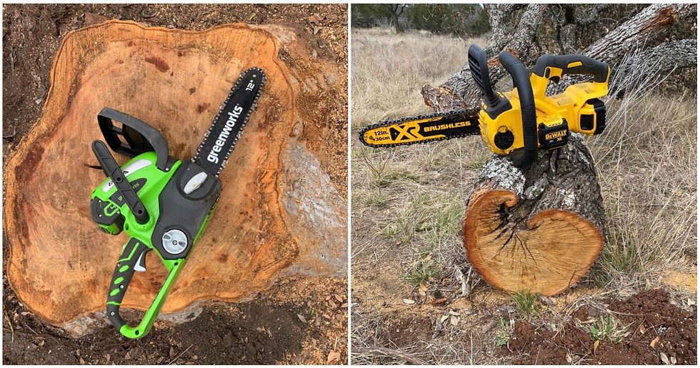 I Tested And Ranked The Best Chainsaws For The Money In 2024