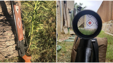 Daisy 880 Review: Is It Actually Good For Squirrels And Rats?