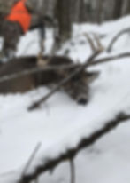 how to successfully hunt whitetails