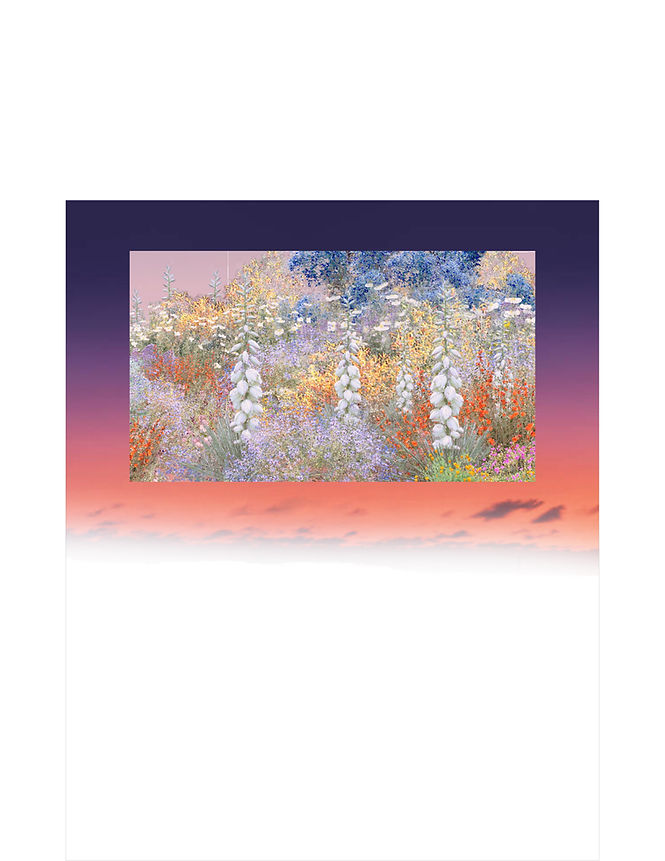 _m_2022_JPEGS ALL8.jpg