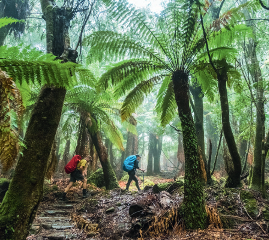 Nature without borders img.png