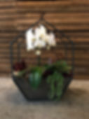IMG_2379.JPEG