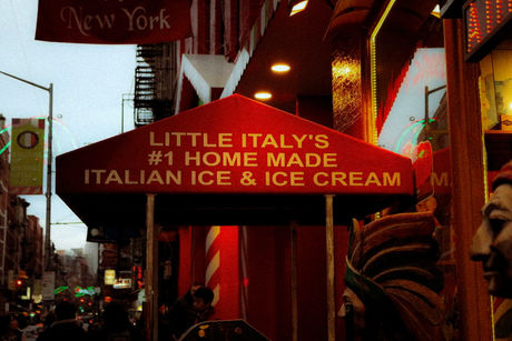 Nicolas Cazorla New York City