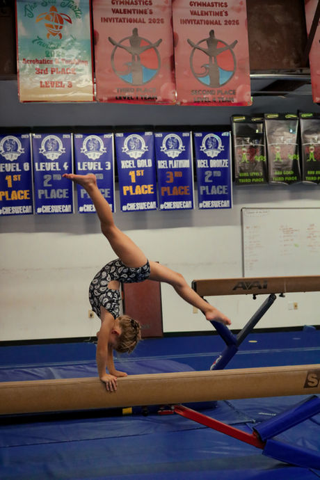 gymnastics-28.jpg