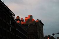 Nicolas Cazorla New York City