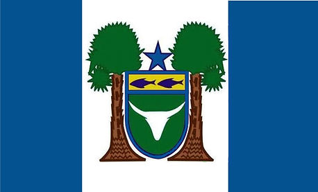CARIRÉ_-_BANDEIRA.jpg
