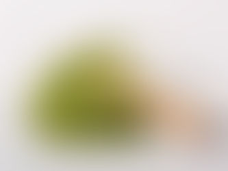 Moringa powder used for daily plant based nutrition