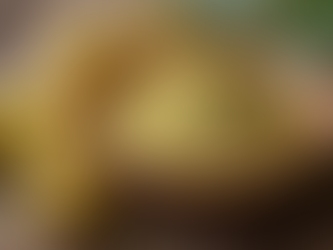 Amla Powder for Daily Nutrition | Benefits, Uses & How to Consume