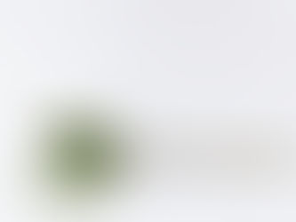 Moringa powder in a spoon on a clean white background