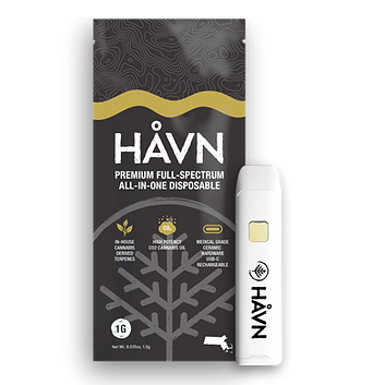 HAVNAll-IN-ONEVape.png
