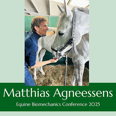 Matthias Agneessens of Move 2 Ride working with a white horse