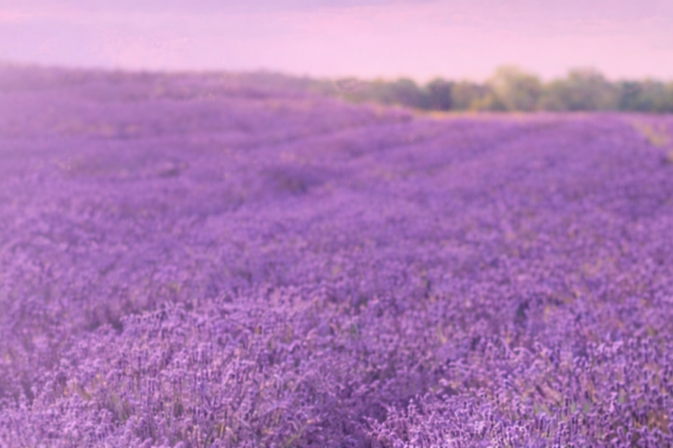 ChatGPT Image Apr 16, 2026, 12_13_33 PM.png