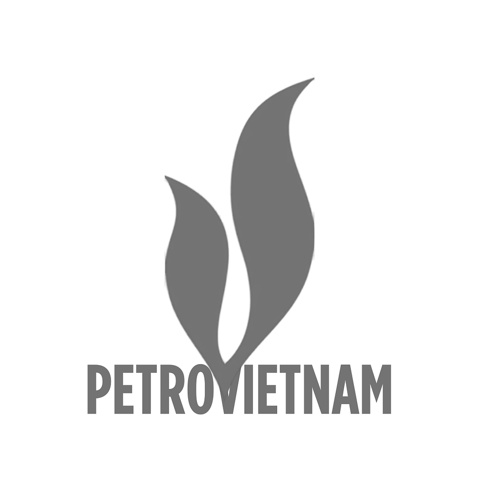 03 grey - Petrovietnam