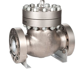 (photoshopped) Swing Check Valve1.jpg