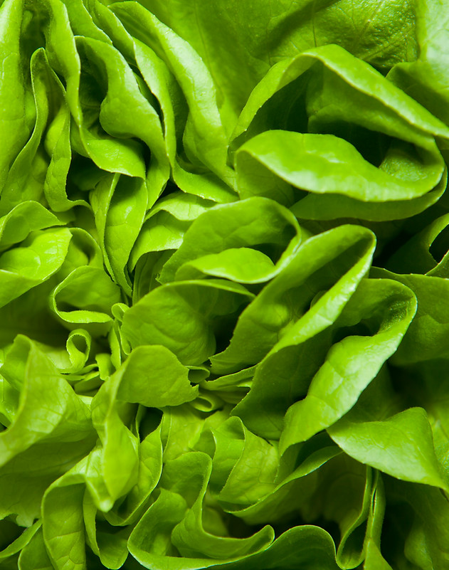 salade