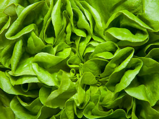 Fresh and Delicious Spring Salad Recipe
