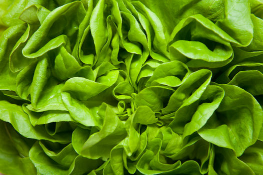 4 Methods to keep your salad greens fresh for more than a week