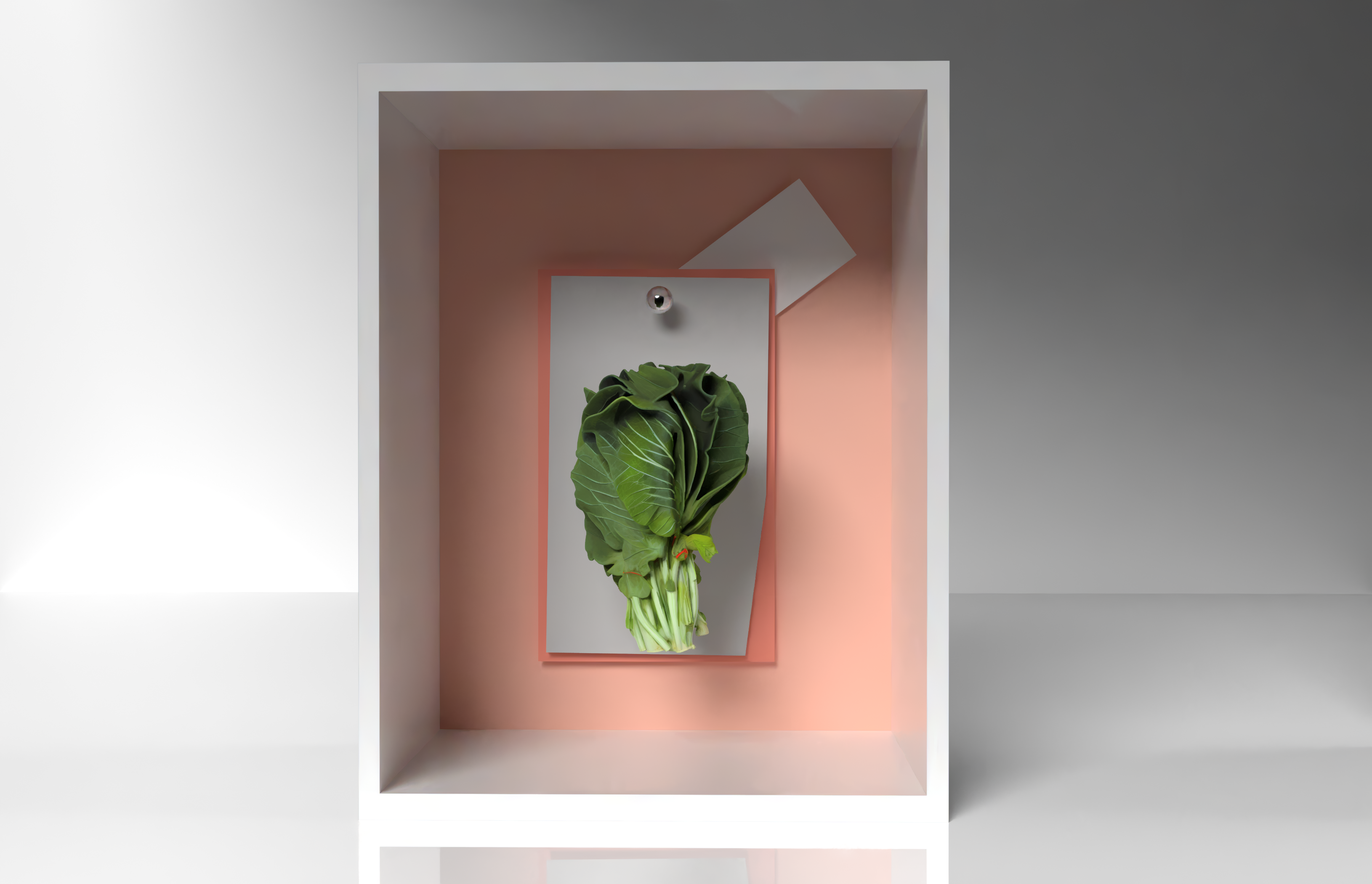 TSP-0000915_Collard_Greens