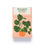 Thumbnail: Houseplant Gardener in a Box
