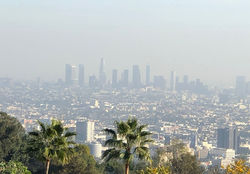 Los Angeles