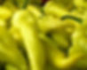 aji_verde