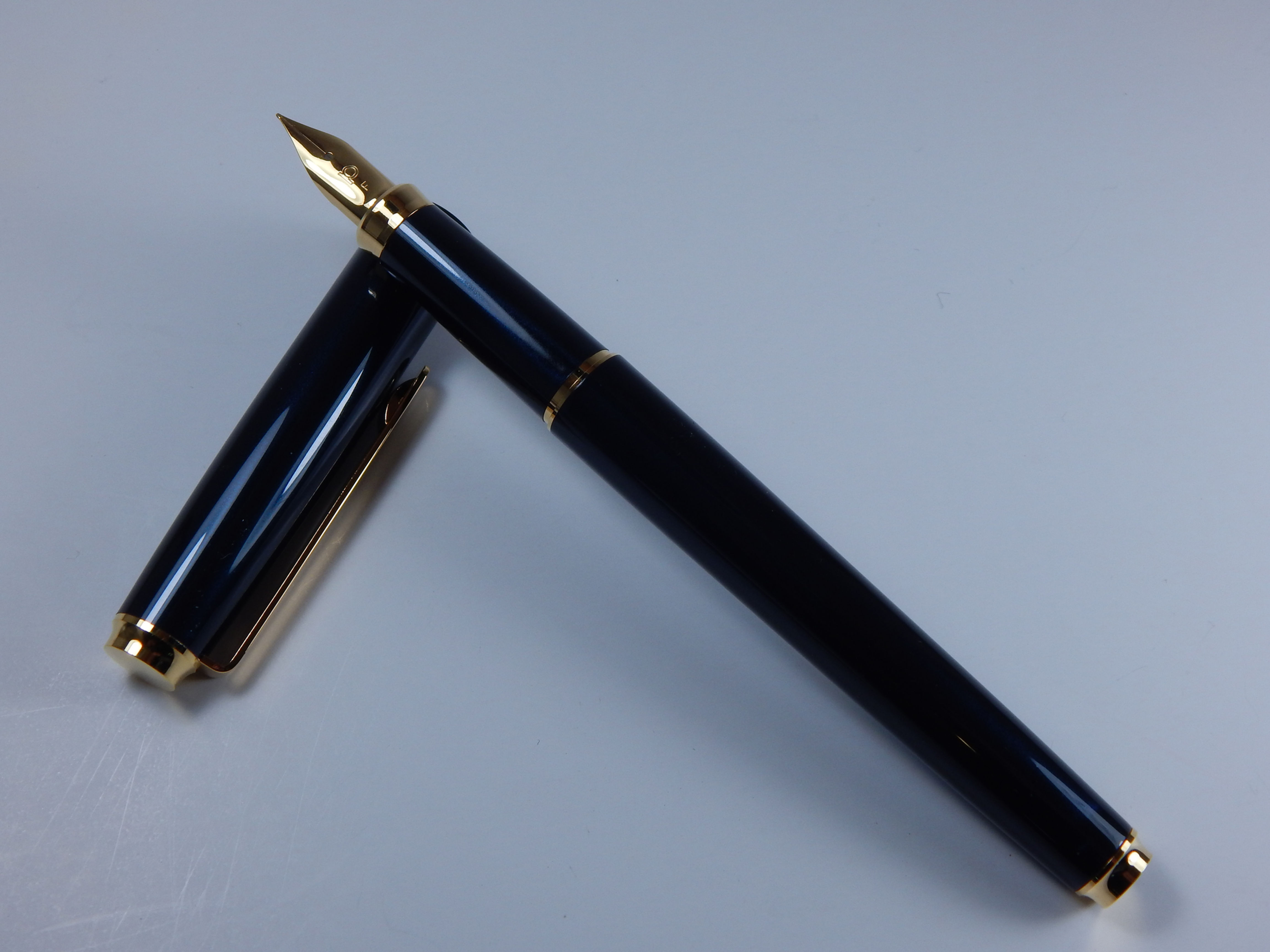 Platinum Biso Fountain Pen -Nebula Black