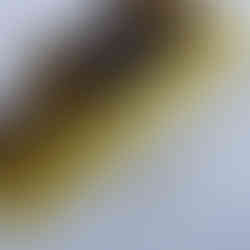 Fountain Pen Ink Sample