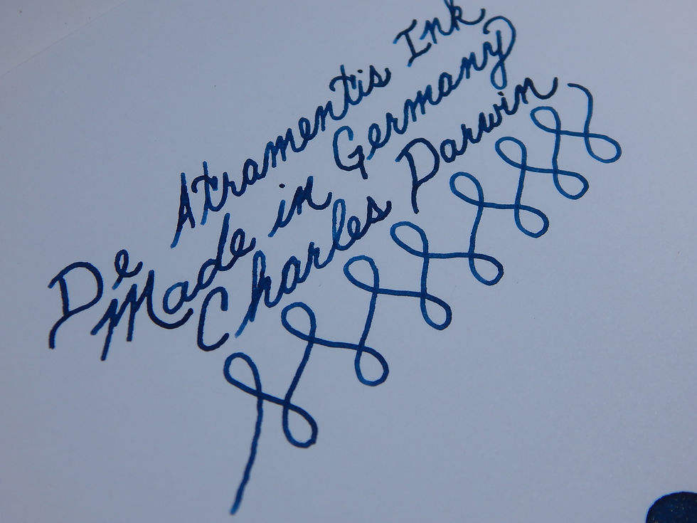 Thumbnail: De Atramentis Fountain Pen Ink 45ml - Charles Darwin - Standard Ink