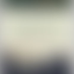 Book Cover: A Brief History of Indonesia