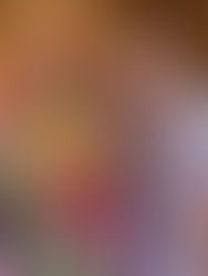 India Part 1: Ziro to Kolkata - At the Fading Edges of India