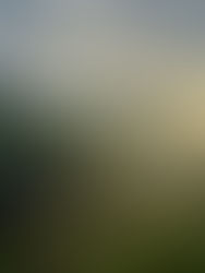 Between Borders and Brothels: A Brief Drift Through Laos and Thailand