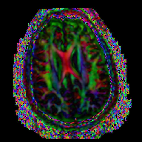 Neuroscience.jpeg