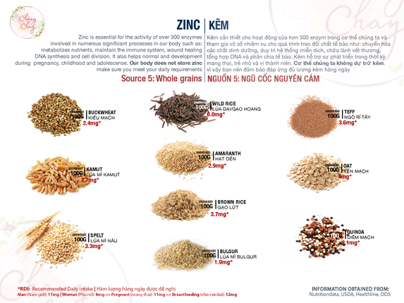 ZINC 5.png
