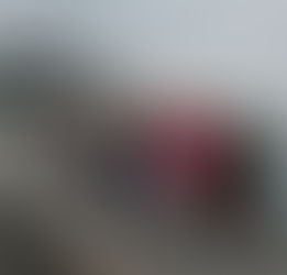 Chicago Cruise with Zonta International Board