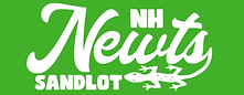 NH_Newts_Sandlot_Bumpersticker_Color.png