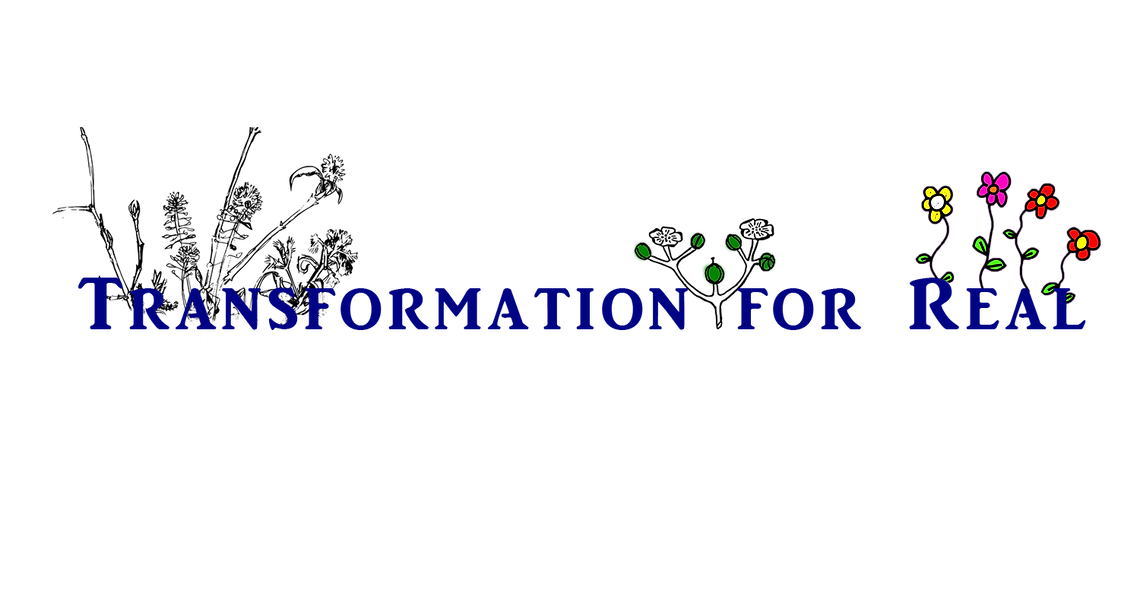 transformation_for_real_logo_official.png