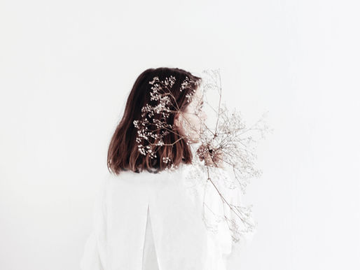 Douceur hivernale, lorsque la beauté rencontre le naturel au mois de janvier 