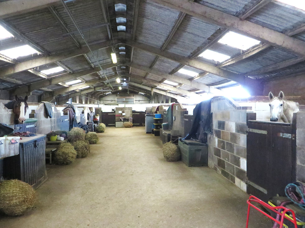Stables