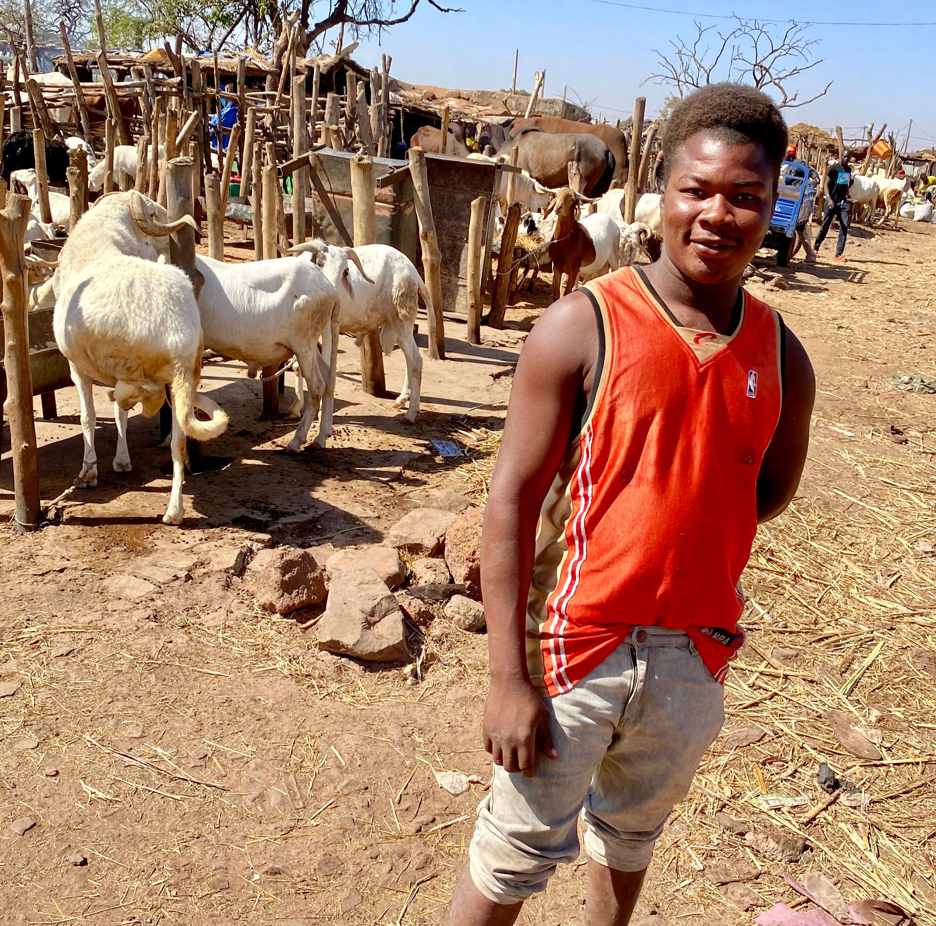 Livestock Market