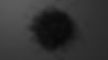 2518761887.jpg