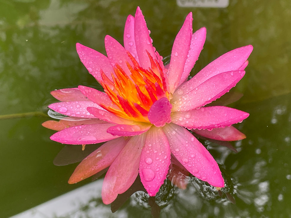 Thumbnail: Antique Atmosphere