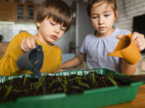 Children watering plants at a STEM Preschool in Pembroke Pines to learn sustainability