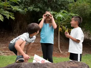 Children exploring outdoors during a Pre-K and VPK activity in Pembroke Pines