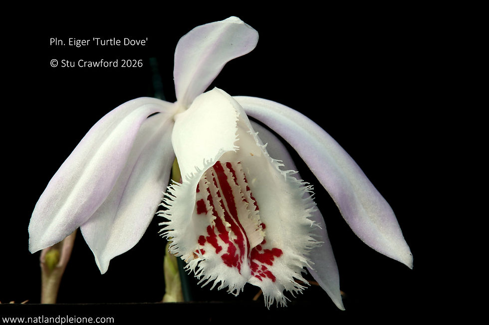 Welcome back stranger!