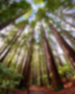 Pacific Northwest & CA