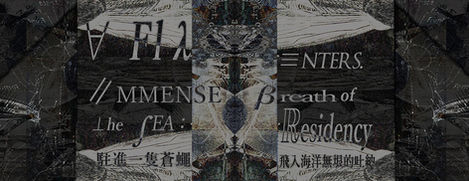 A Fly Enters. Immense Breath of the SEA: Residency
