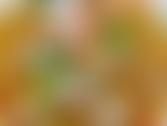 鶏の柚子胡椒炒めカレー
