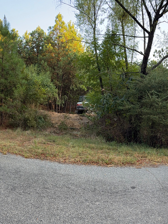 Overgrown lot before land clearing in North Little Rock AR — Hyslip Excavation