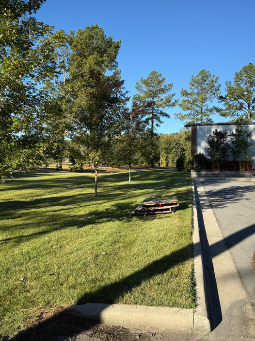 Undeveloped lot before grading and building pad construction in Bryant AR — Hyslip Excavation