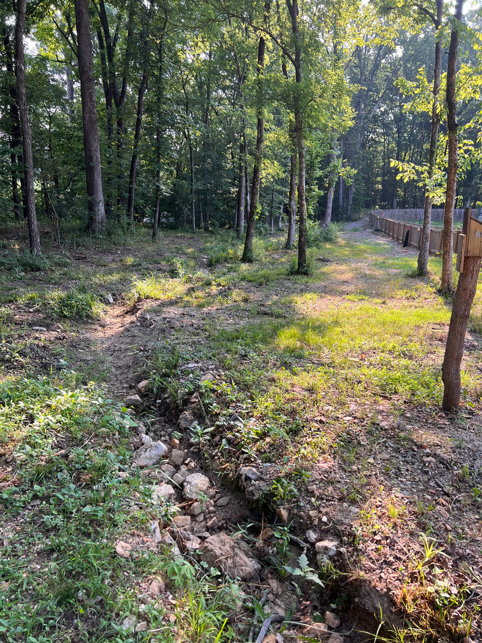 Land clearing contractor